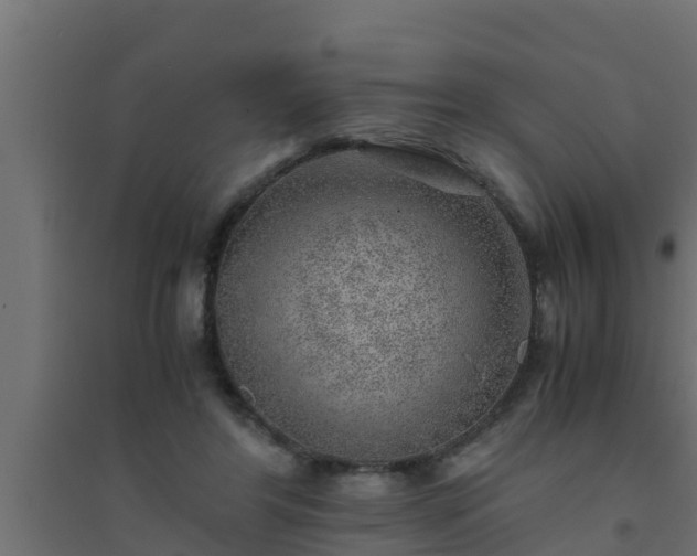 X0000094820404200711241513