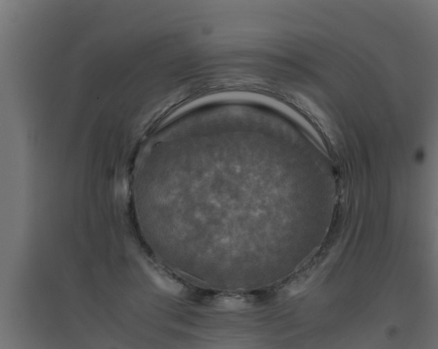 X0000094820405200711241513