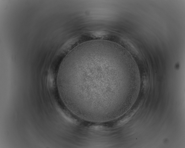 X0000094820408200711241513