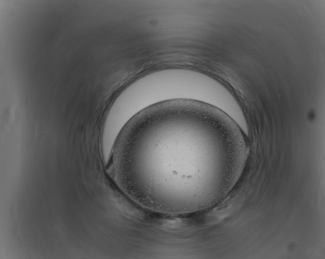 X0000094820411200711241513