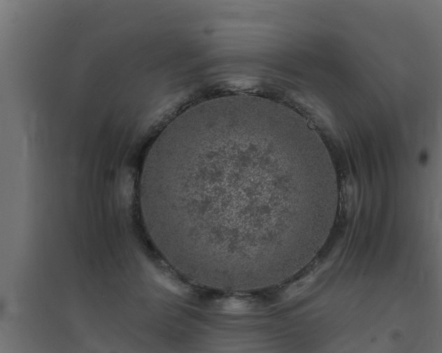 X0000094820412200711241513