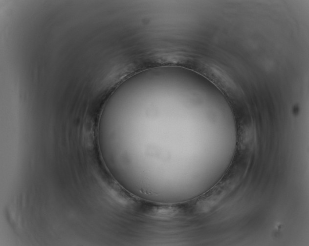 X0000094820414200711241512