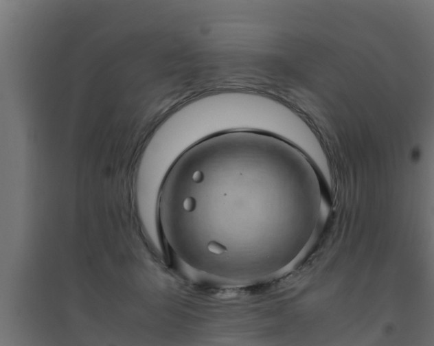 X0000094820415200711241512