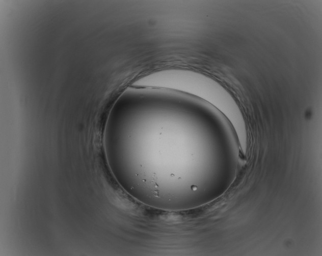 X0000094820419200711241512
