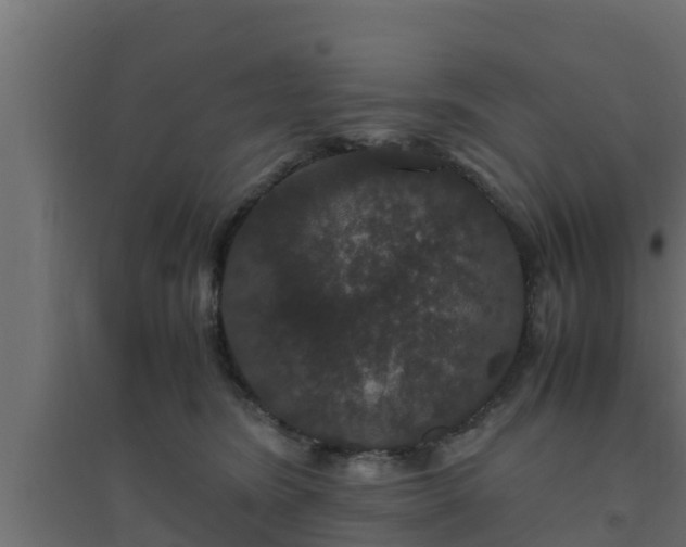 X0000094820420200711241512