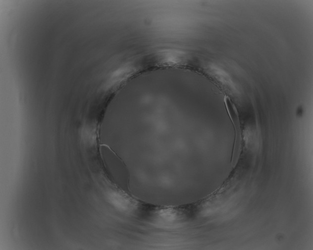 X0000094820423200711241512