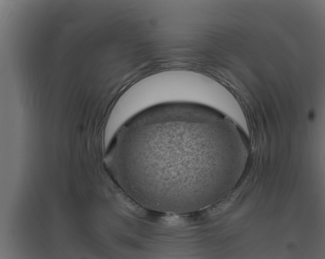 X0000094820425200711241512