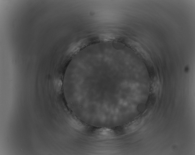 X0000094820427200711241512