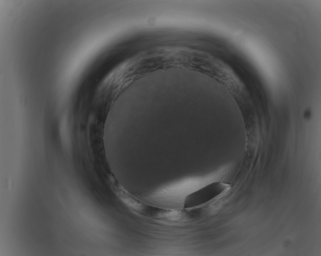 X0000094820431200711241512