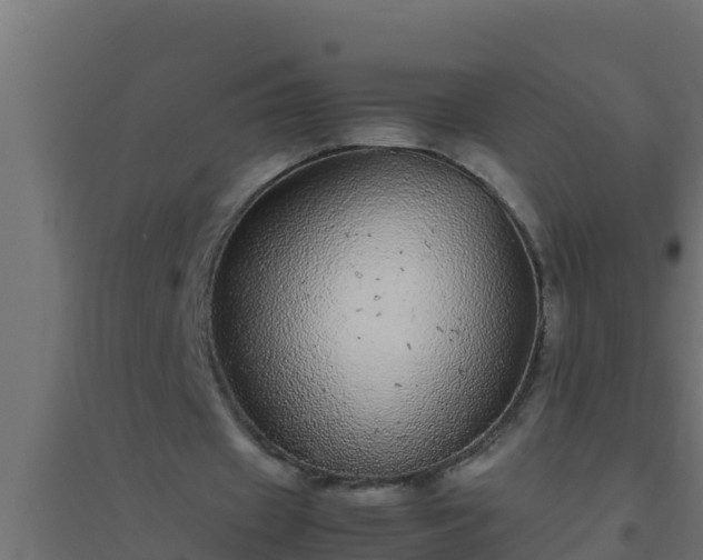 X0000094820433200711241512