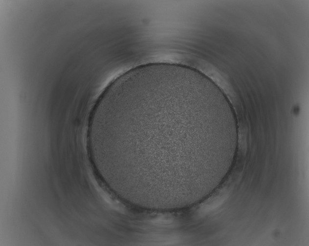 X0000094820434200711241512