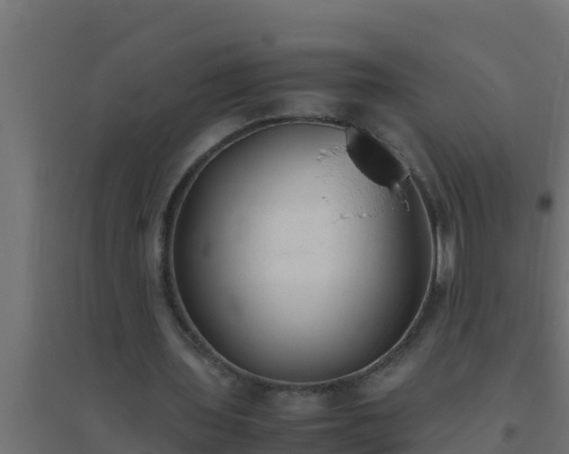 X0000094820435200711241512