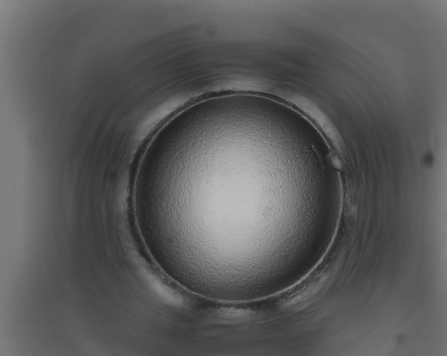 X0000094820437200711241512