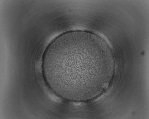 X0000094820439200711241512