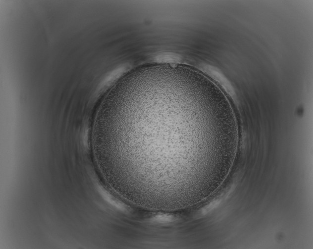 X0000094820441200711241512
