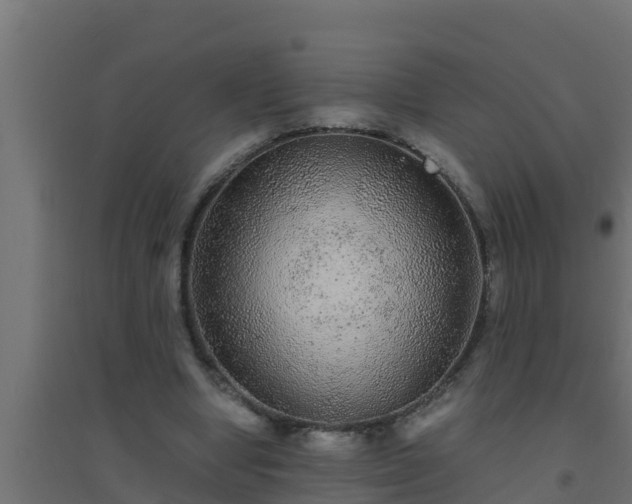 X0000094820442200711241512