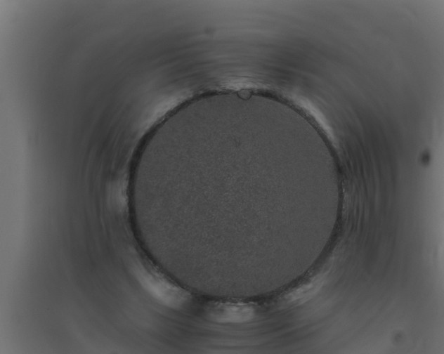 X0000094820443200711241512