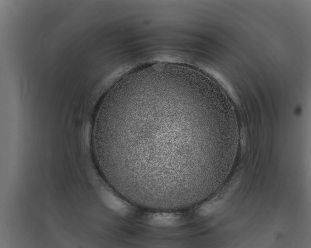 X0000094820445200711241512