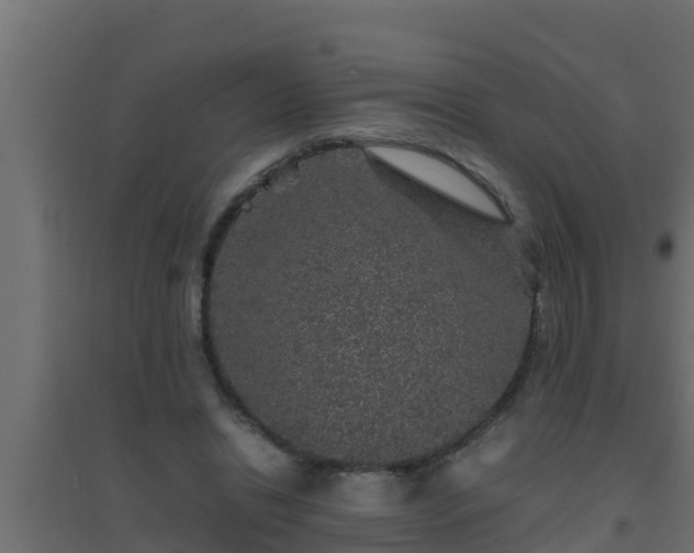 X0000094820446200711241512