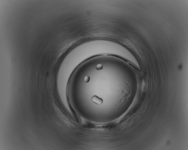 X0000094820448200711241512