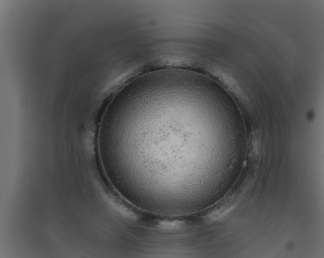 X0000094820450200711241512