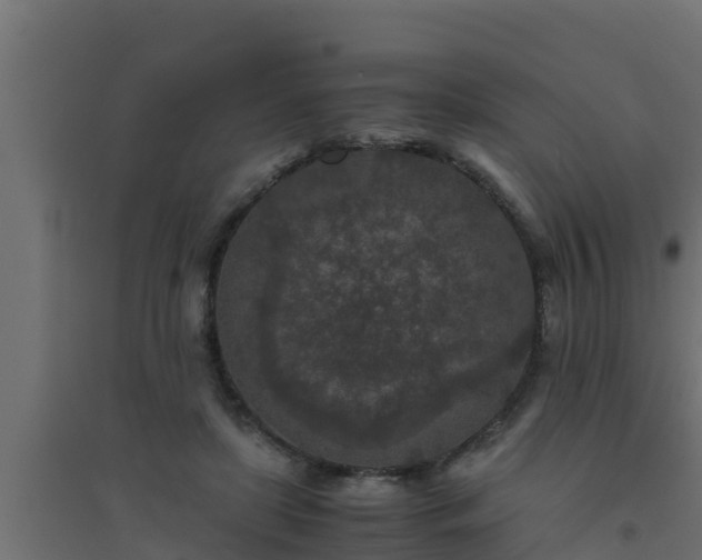 X0000094820451200711241512