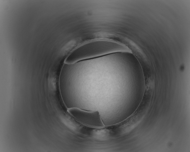 X0000094820452200711241512