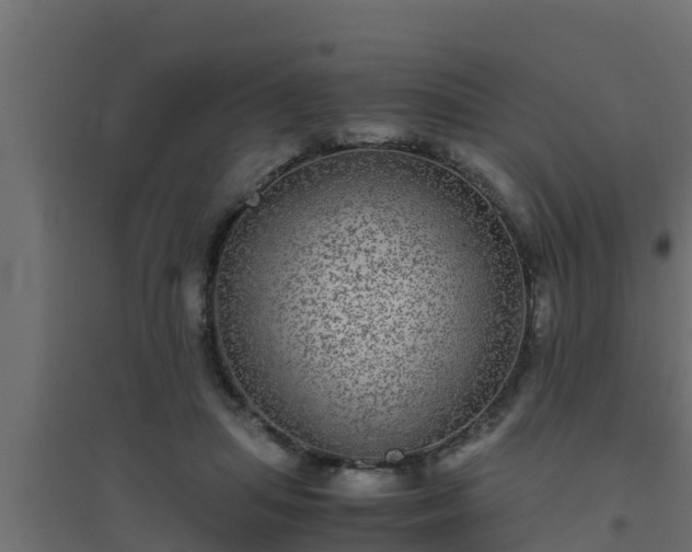 X0000094820455200711241512