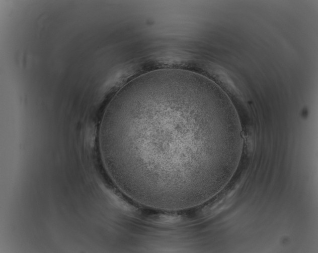 X0000094820458200711241512