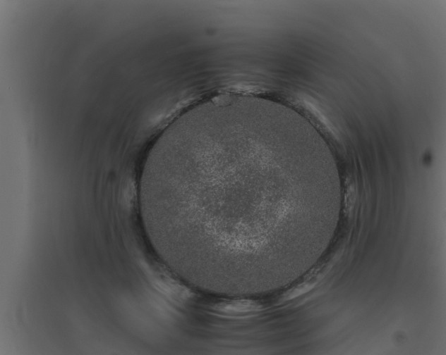 X0000094820459200711241512