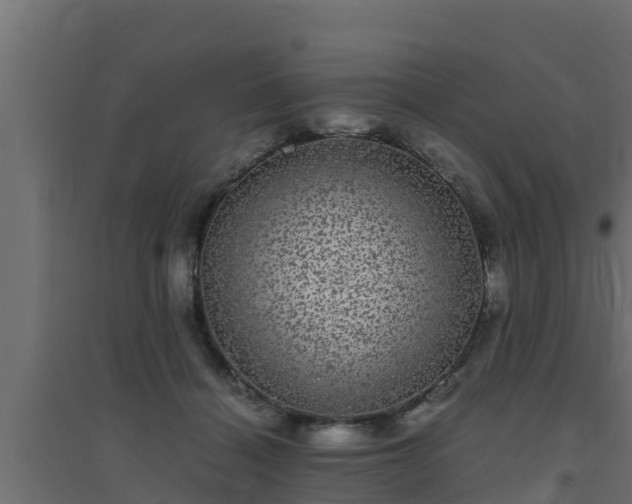 X0000094820460200711241512