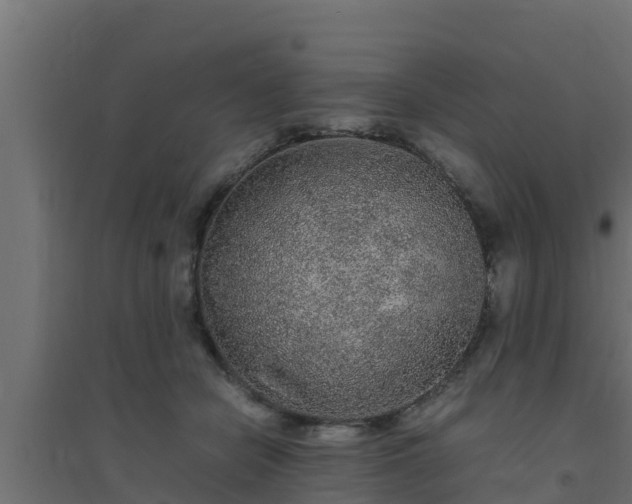 X0000094820462200711241512