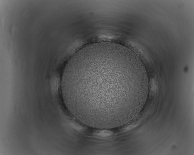 X0000094820463200711241512