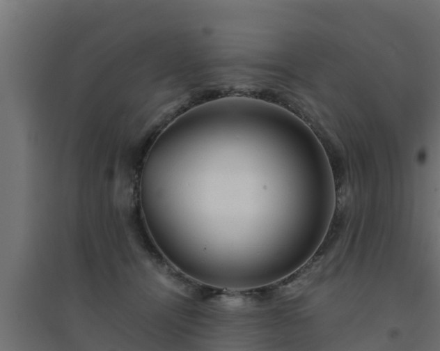 X0000094820464200711241512