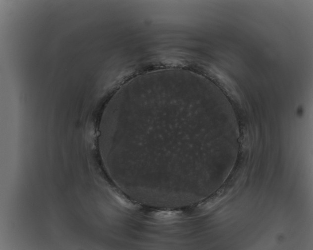 X0000094820465200711241512