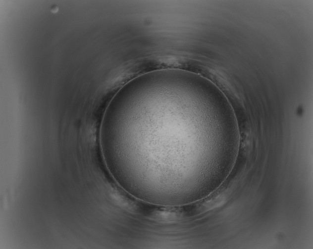 X0000094820466200711241512