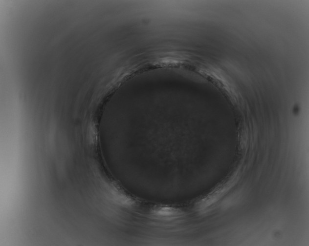 X0000094820467200711241512