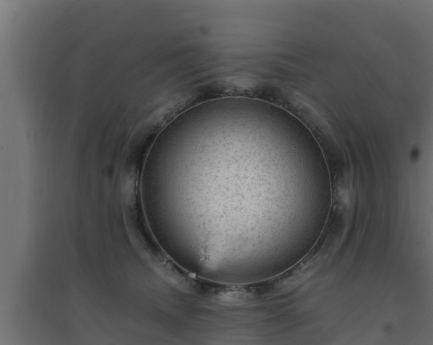 X0000094820468200711241512