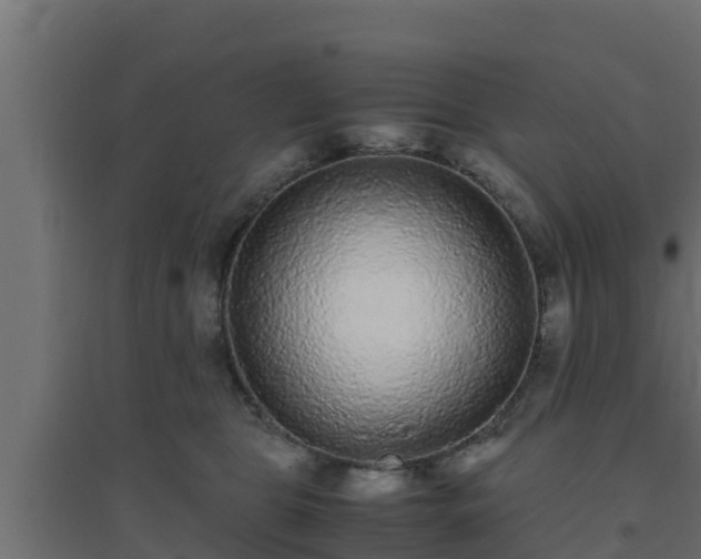X0000094820469200711241512