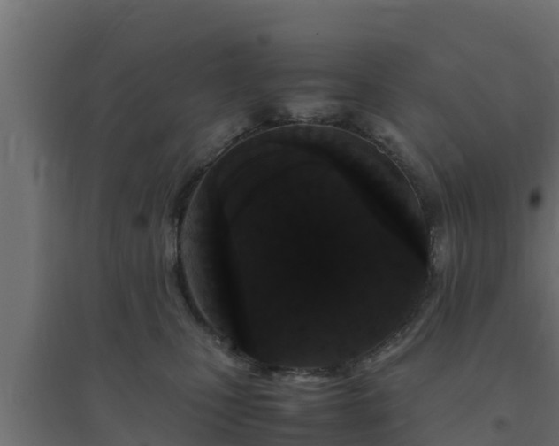 X0000094820471200711241512