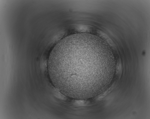 X0000094820473200711241512