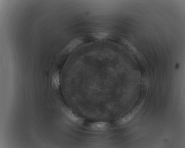 X0000094820479200711241512