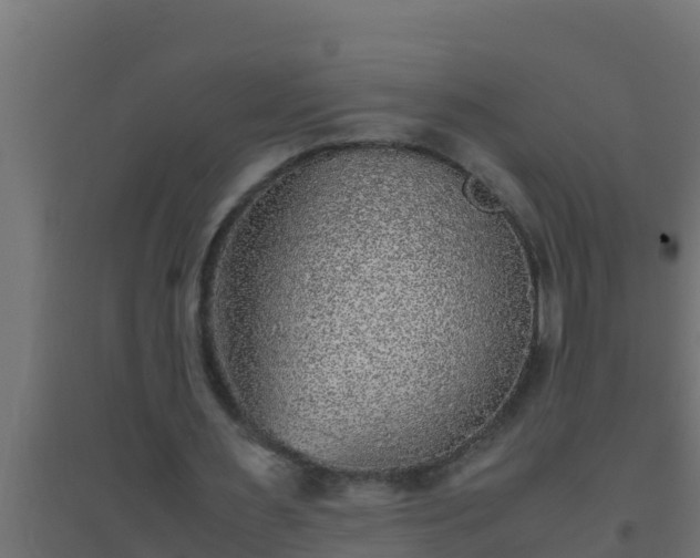 X0000094820483200711241512