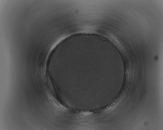 X0000094820484200711241512