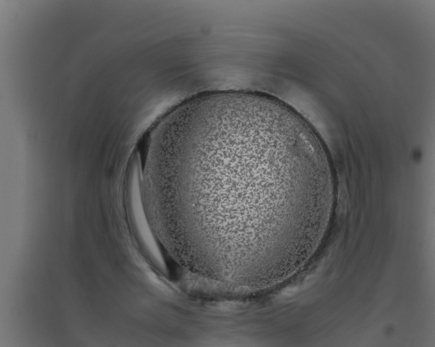 X0000094820485200711241512