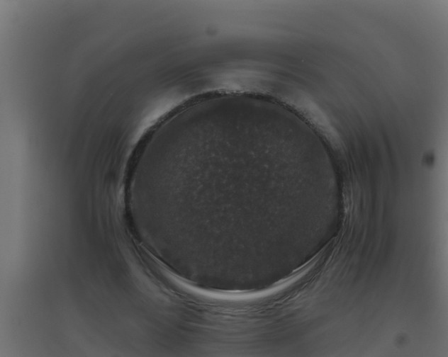 X0000094820488200711241511
