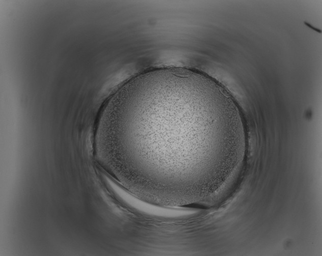 X0000094820489200711241511