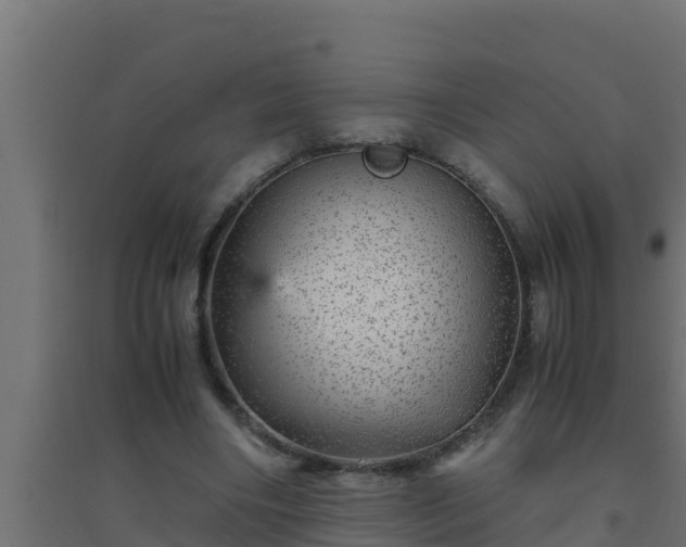 X0000094820490200711241511