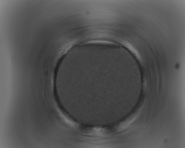 X0000094820493200711241511