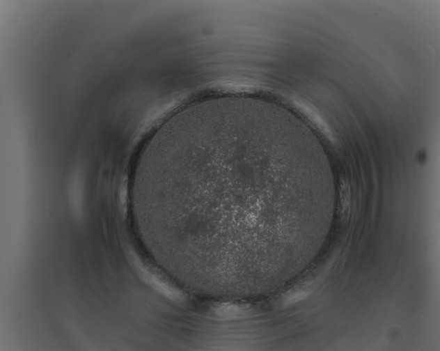 X0000094820494200711241511